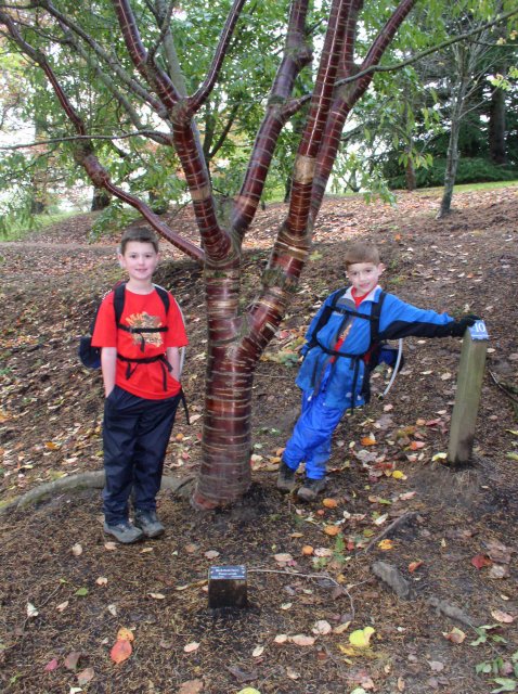 11.06.05 Wildwood Trail 009 